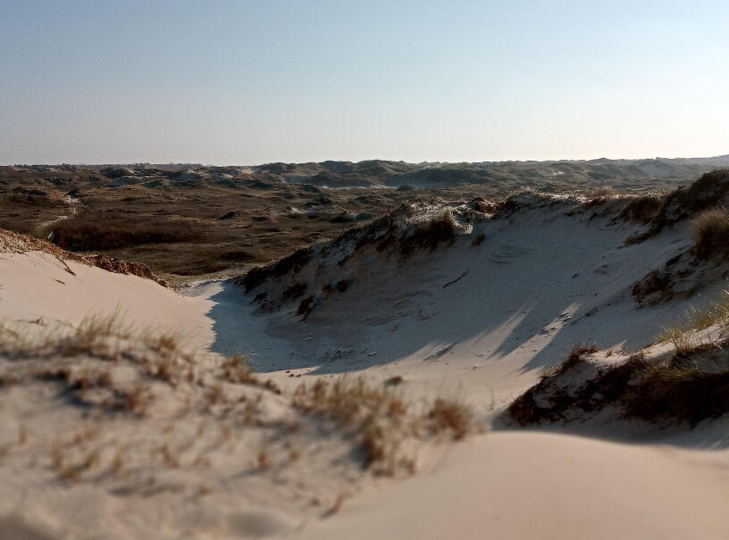Dünenlandschaft Dünenlandschaft